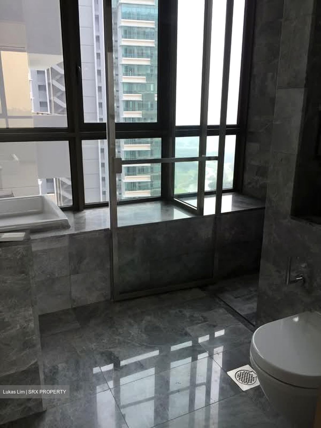 Skyline Residences (D4), Condominium #566219611